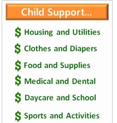 what is child support for